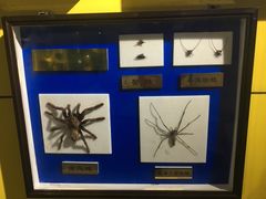 -上海昆虫博物馆