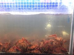 水产区-盱眙小龙虾(天虹店)