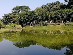 -东莞植物园