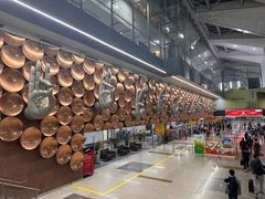 -英迪拉·甘地国际机场