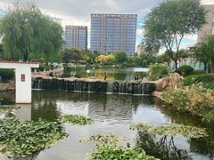 -丁家河公园