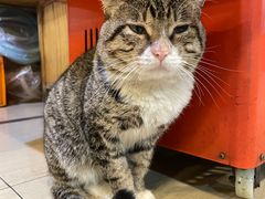 -2048香辣虾(七星岗店)