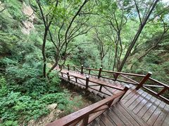 -大岭沟猕猴桃谷风景区