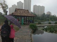 -前关湿地公园