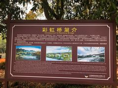 -彩虹桥
