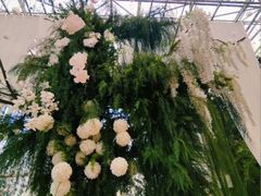 -沈阳植物园