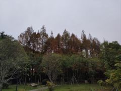 -金山公园