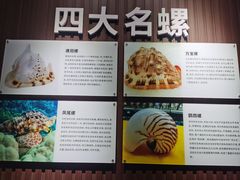 -贝壳王国博物馆