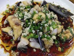 -全乐鱼馆·淳牌有机鱼直营店