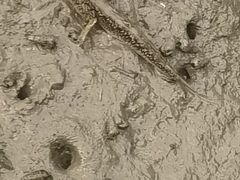 -北海金海湾红树林生态旅游区