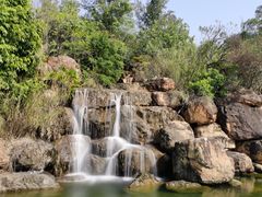 -广东花都湖国家湿地公园