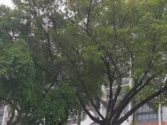 -厨邦酱油文化博览馆