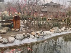 -华山御温泉度假村