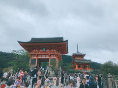 -有栖山 清光院 清水寺