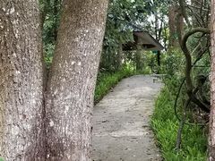 -广州市流溪河国家森林公园