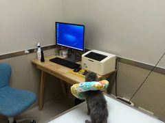 -爱妮康宠物医院·干细胞免疫细胞·肿瘤·心脏(张江店)