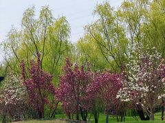 -红枫湖高尔夫俱乐部