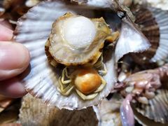 -睿柏云酒店-餐厅