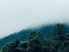 -藏龙百瀑风景区