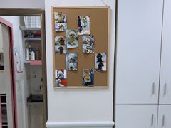 -全心全意连锁动物医院(加州店)