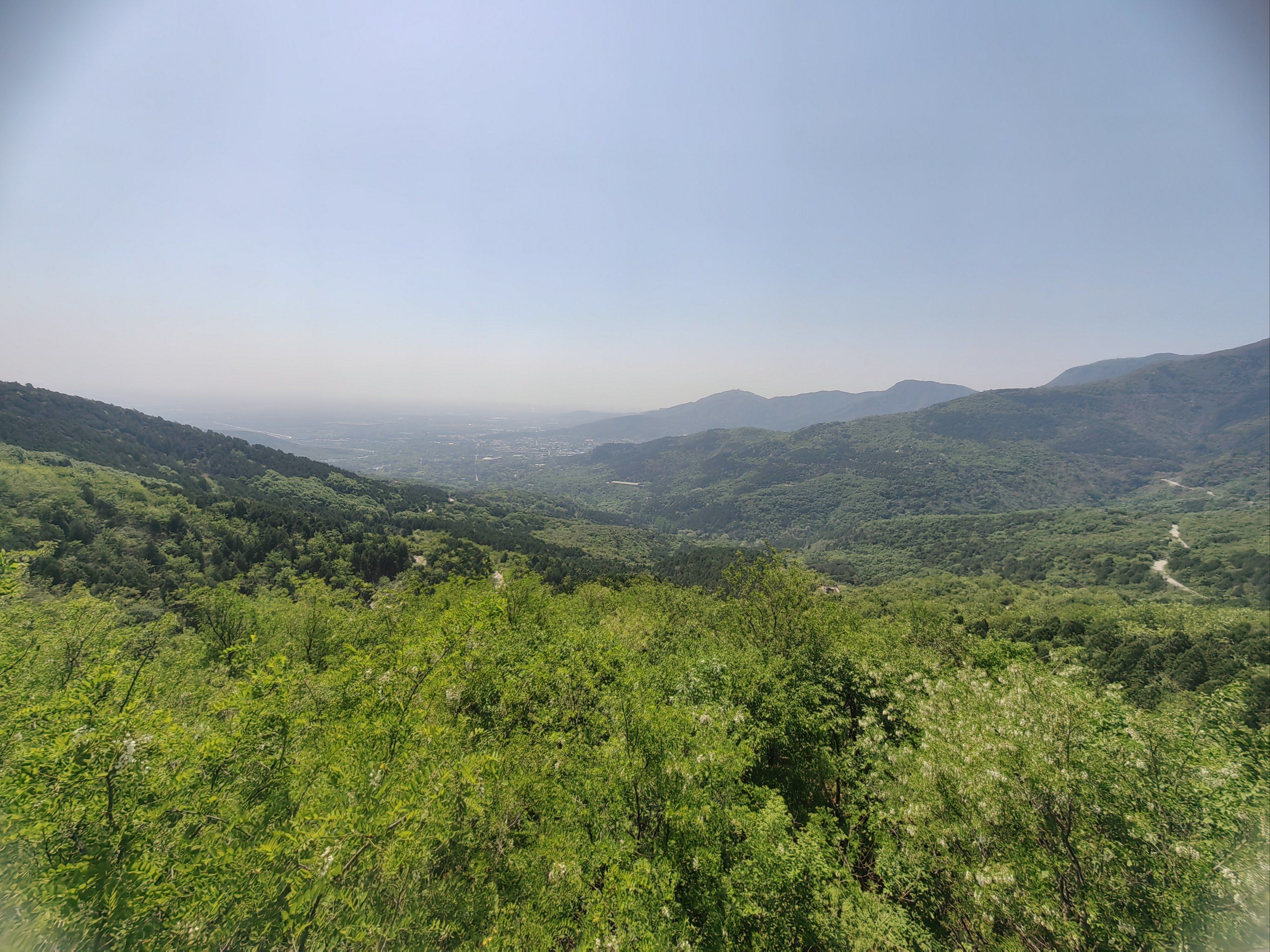 带娃徒步第1场:西山四棵树 (憋死猫)