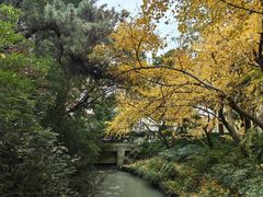 -汇龙潭