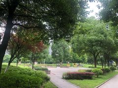 -重庆彩云湖湿地公园