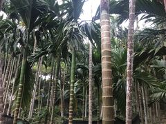 -农厨好味·温泉鹅·农家菜