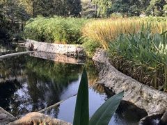 -成都市活水公园