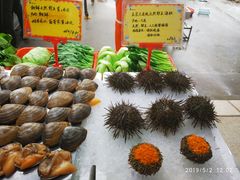 -蚝专家(北滘店)