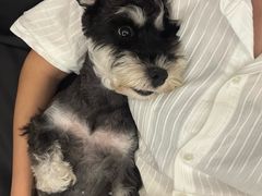 -臻品足道(后湖店)