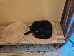 -萤火虫咖啡(后海店)