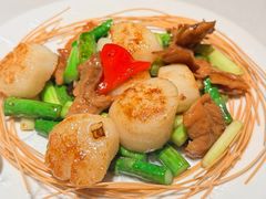 如意吉祥炒带子-香港龙凤楼(巨鹿路洋房店)