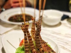 -汤城·料青山