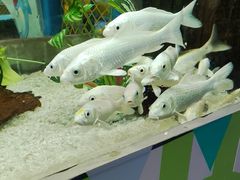 -顺德南宏海立方海洋公园