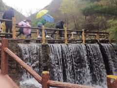 -王顺山国家森林公园