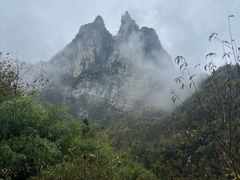 -鹿院坪生态旅游景区