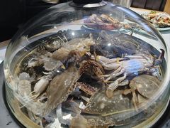 -南戴河旅游度假区