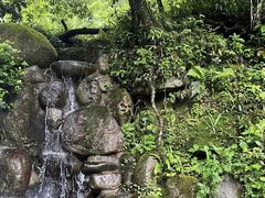 -炎陵县神农谷国家森林公园