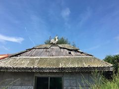 -放鸡岛生态旅游国际度假区