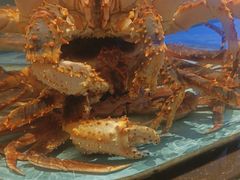 -阿伟海鲜楼·福建菜(延寿店)