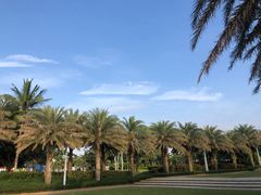 -满福隆酒楼(万绿园店)