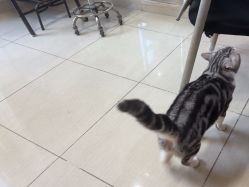 -长沙纹身·龙堂刺青·三土师傅的店