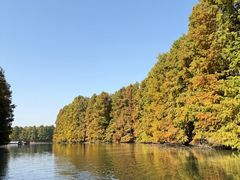 -上海海湾国家森林公园