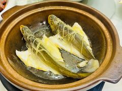 -稻香酒家·35年老字号(侨光店)