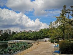 -新江湾城公园