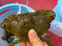-金海湾海鲜排档(朱家尖店)