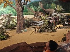 -安徽省地质博物馆