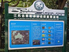 -溱湖国家湿地公园