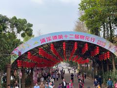 -清溪大王山森林公园
